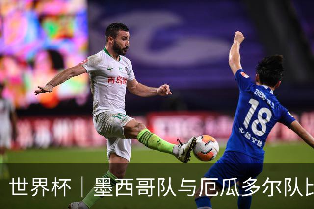 世界杯｜墨西哥队与厄瓜多尔队比赛因雷雨延迟