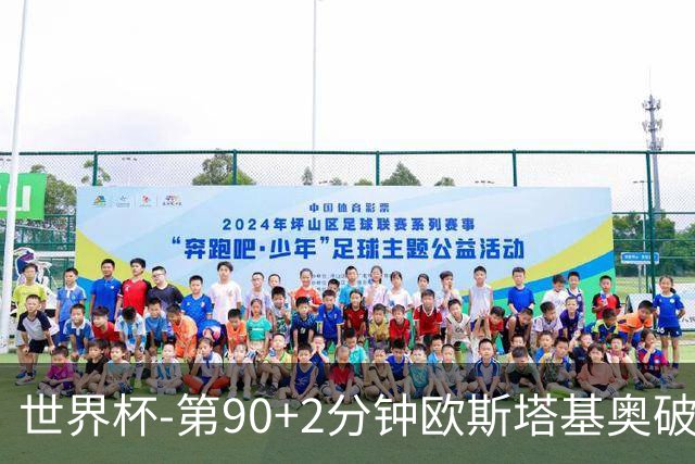 世界杯-第90+2分钟欧斯塔基奥破门 加拿大1-0绝杀南非